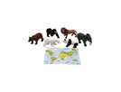 Игровой набор Животные Zooграфия 200661790 - выбрать в ИГРАЙ-ОПТ - магазин игрушек по оптовым ценам - 2